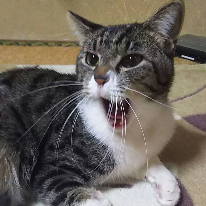 1a743ed6 7823 4613 8d97 2bcf903ce91a