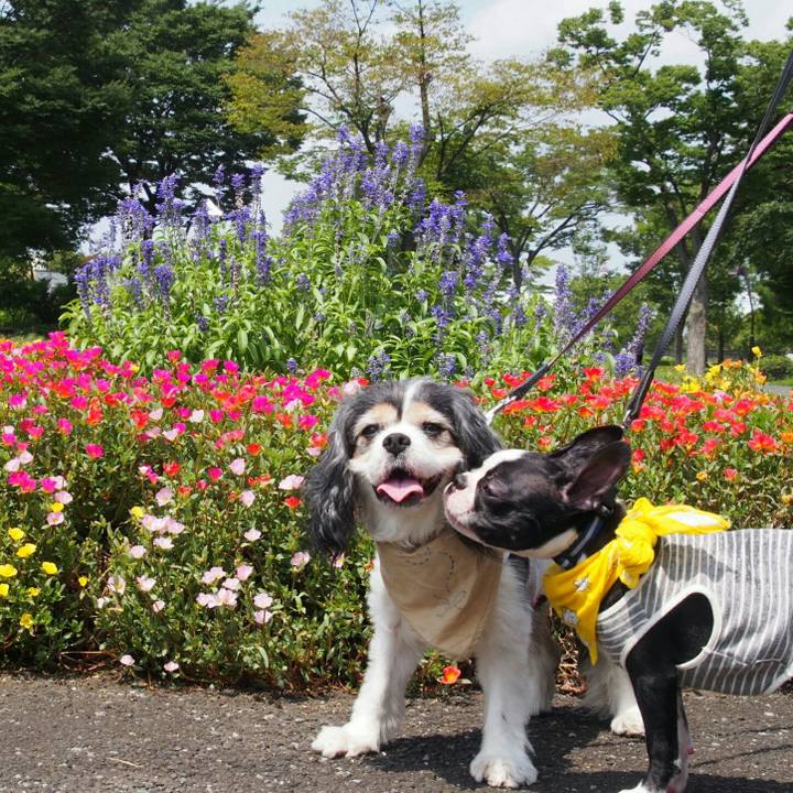 1a7448a9 43ae 46c6 be64 9f841704b2d0