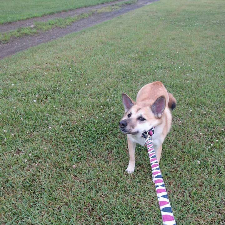 1a74712c 03e8 4dee 98eb f728c1445555