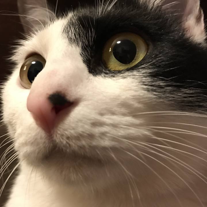 1a74a88e 4cc6 4f9c 83e3 e195992b912d