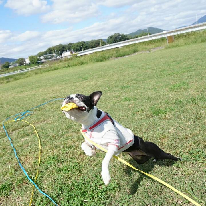 1a74bce1 ec3a 4c55 92ef 70e2aa682b6e