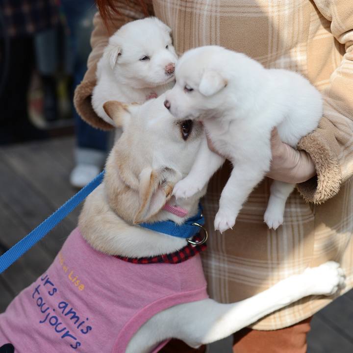 1a75562b ef17 4423 ab55 26b98ae9a742