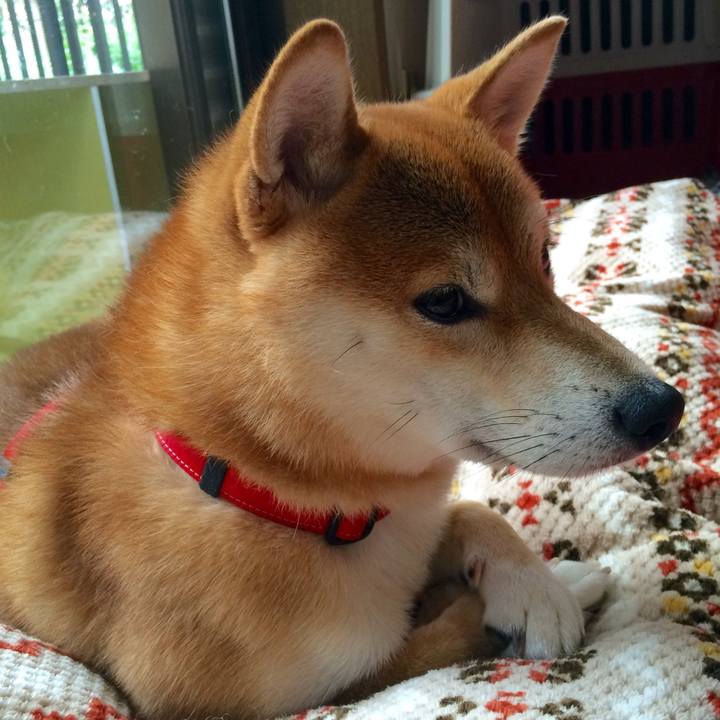 1a756fde aac0 4860 a191 0842e645ecf8