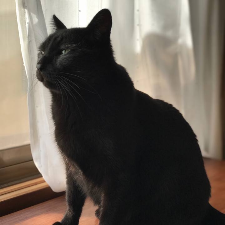 1a764b08 63f2 4625 95d2 528a8e0c9afd