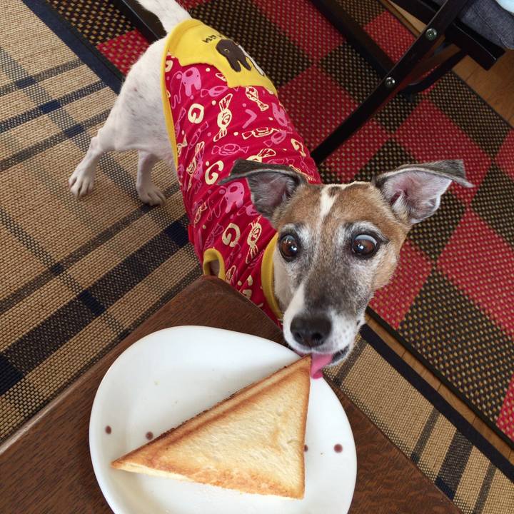 1a76b187 8697 4721 9a5c ed52f96369a0