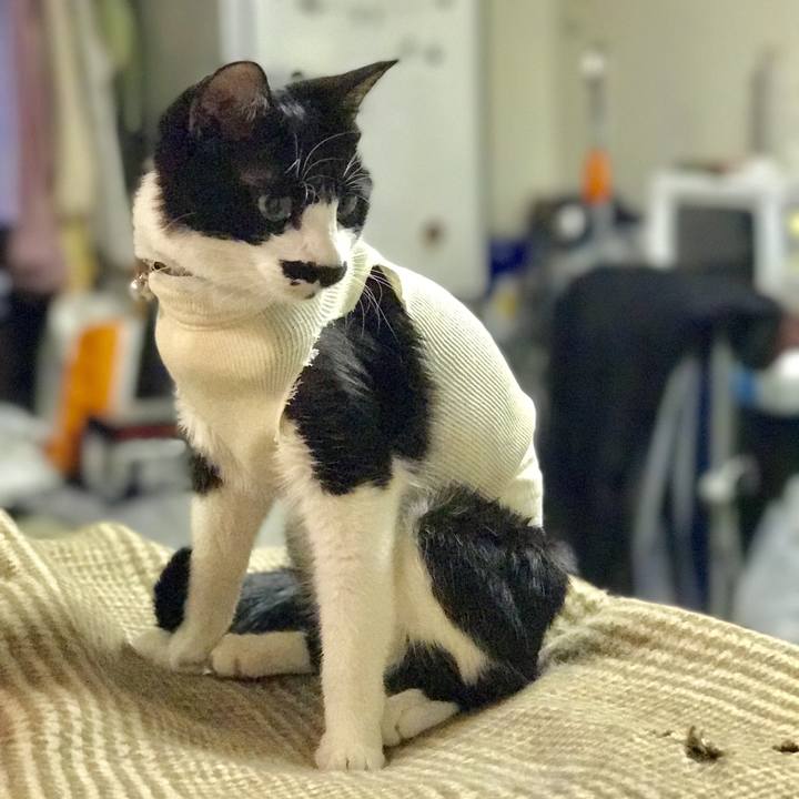 1a76d4c3 81e4 46a3 853b b29c54f109b9