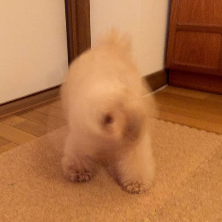 1a770659 c8c5 4b1a b206 ebaa95b3dde5