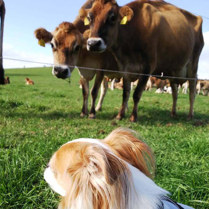 1a7711d2 23c4 439f bac7 5533fbb2b430