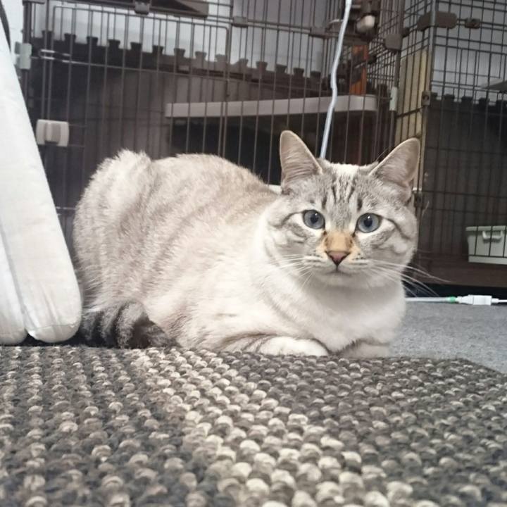 1a775022 38ab 408f 8740 41235f443a48