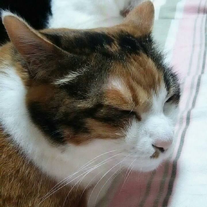 1a77d62b 492a 4bfa b516 09fb9b695192