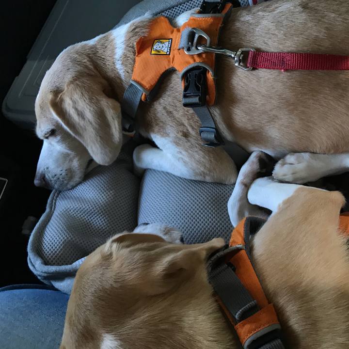 1a77ed9c 7001 4c4b 8a74 636935e40e42