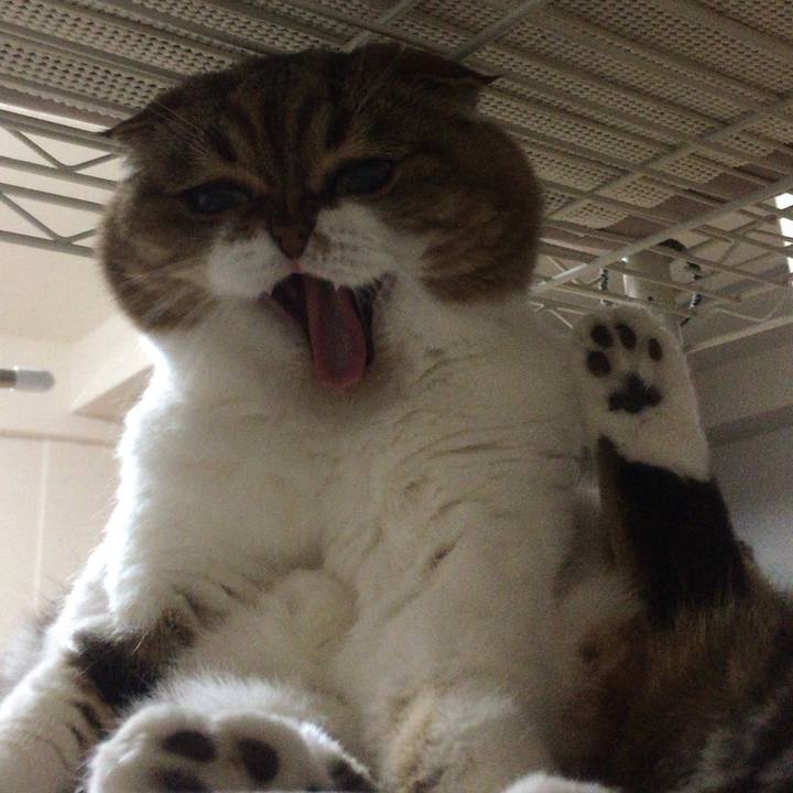 1a7816ee 11fd 4679 ac94 7d40069a1149