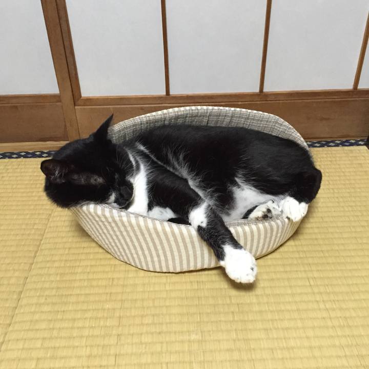 1a781d22 14a1 472f b6e2 09833e5ec641