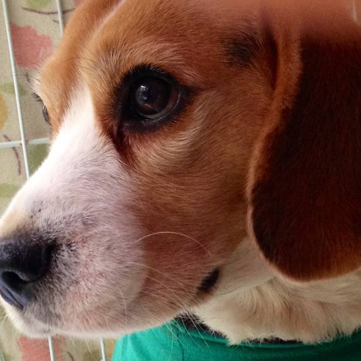 1a783282 b311 4f49 85e2 c46620d6da04