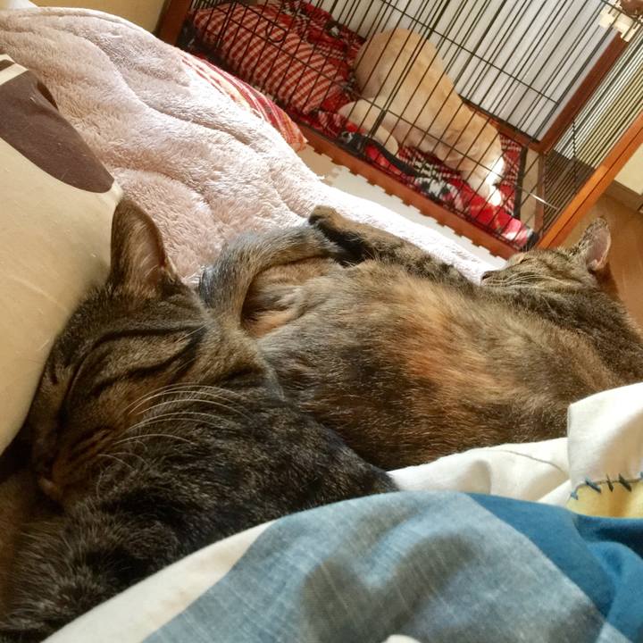 1a7864ee 9db9 4e23 97d0 ec288ae8da4a