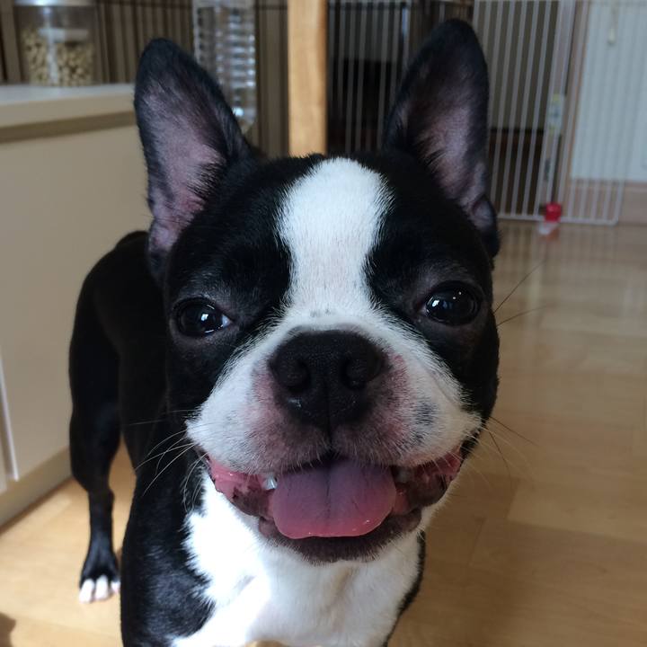 1a78c876 63dd 4f53 97a0 81f60f8184ef