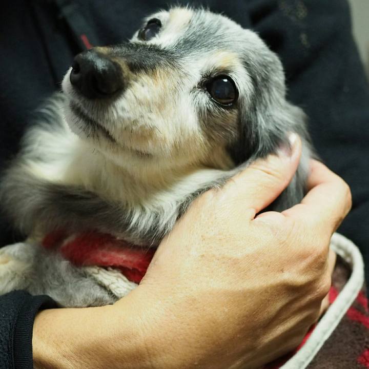 1a78e81b 3624 4a96 a48e da5631e626b2