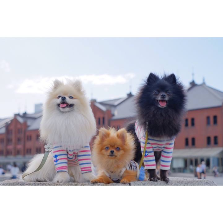 1a7939f0 6dd9 42b2 8f8c d6d07821eb41