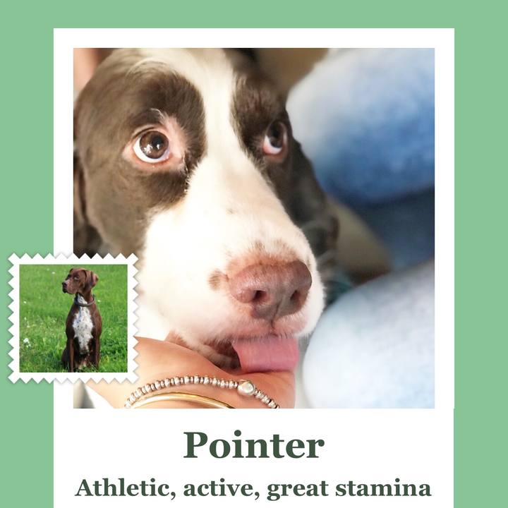 1a7981f6 8858 41bb 8f14 ad1e49bf6f37