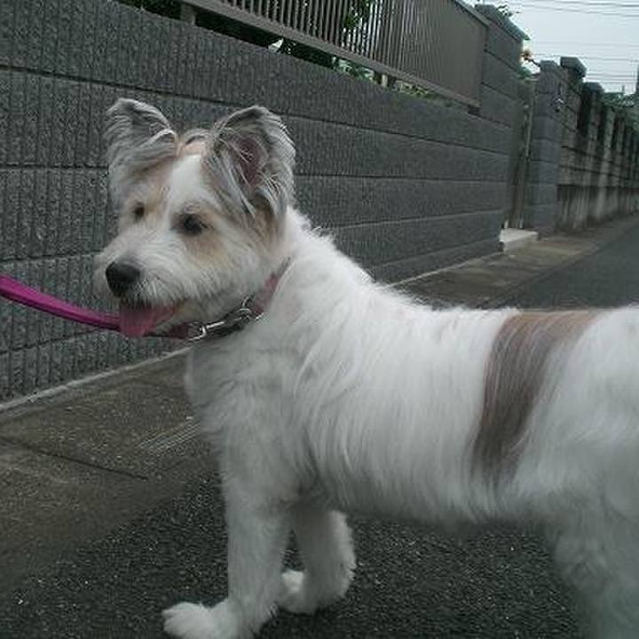 1a7a7c37 806c 4b5e aa9c edf764ad796a