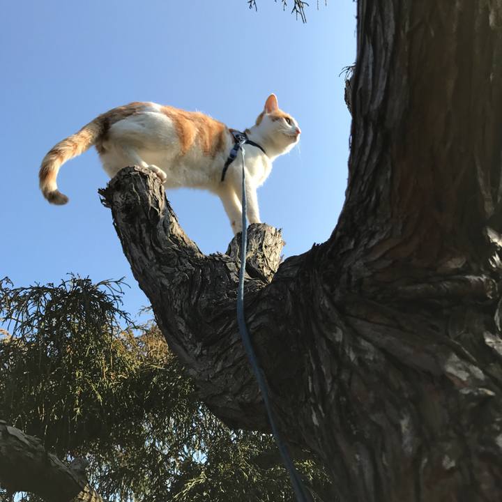 1a7a842c c90f 44bc b3e6 f6706d95bac0