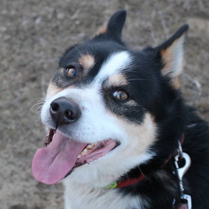 1a7aea7a a0a7 4484 a5e6 f00d1677038d