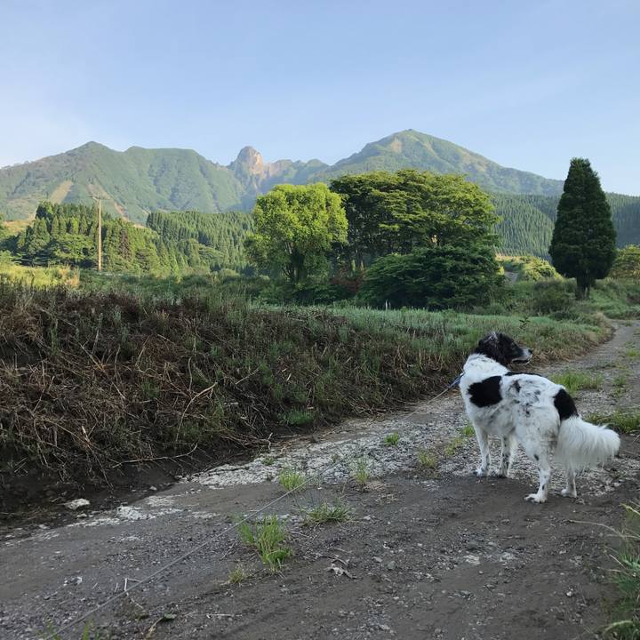 1a7b827a b4df 489c 9098 b271c7fed2fd