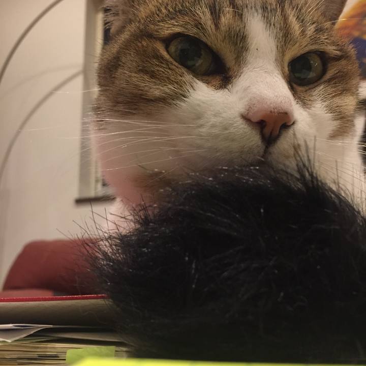 1a7baf11 afad 4712 aef4 9fac1a2e24d5