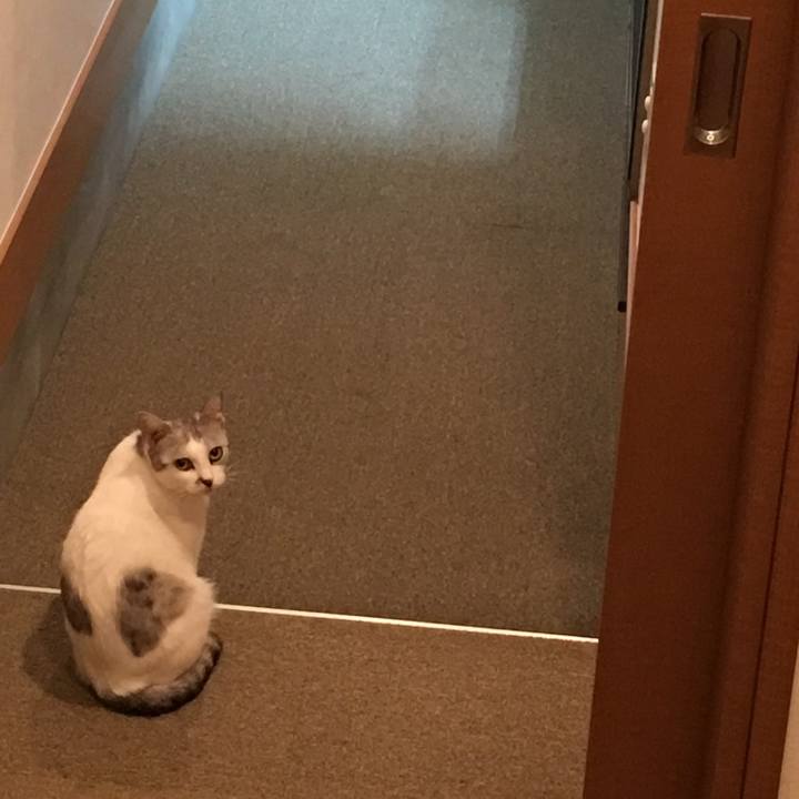 1a7bfcc3 ce12 428c abf6 b8d2e785c25a