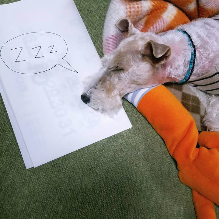 1a7c2fbe 03ea 419a 9426 ba5181642219