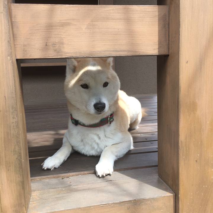 1a7cb4df d2ff 4522 9670 5894ae6d0ffa