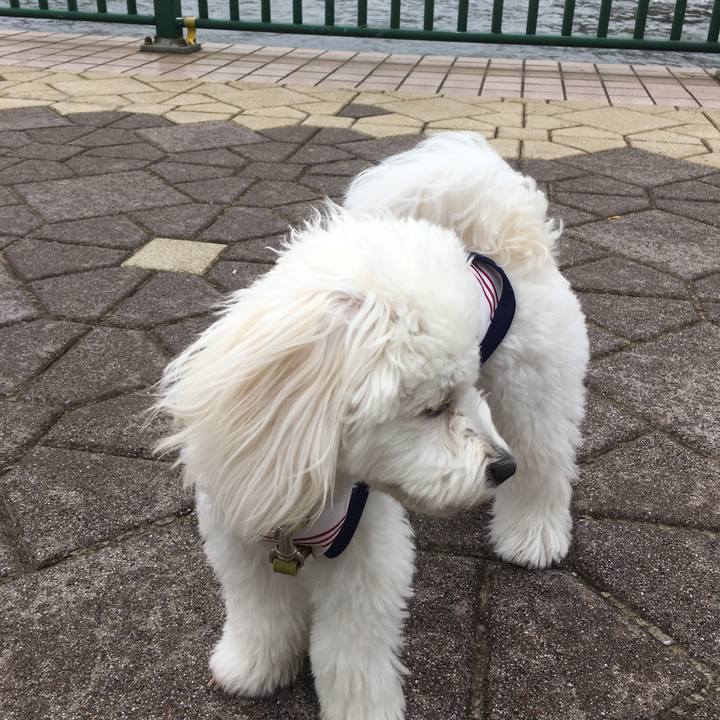 1a7d28b1 6d1e 46eb 884f 06e1c88e5a19