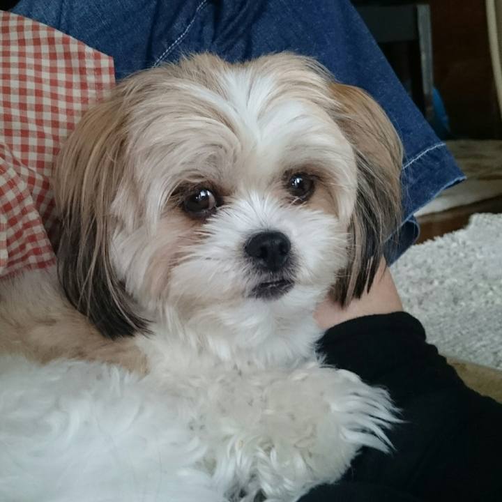 1a7d5f54 af61 4920 ac19 4defc629013f