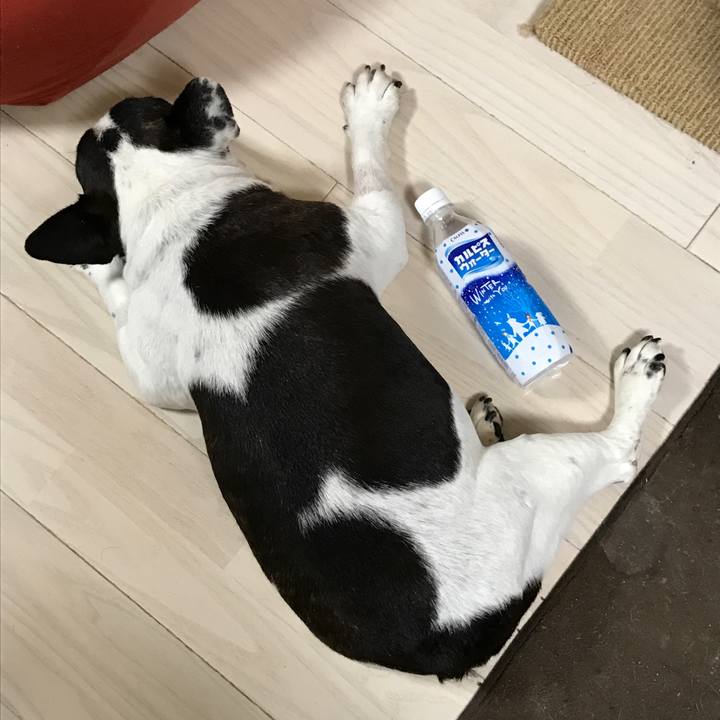 1a7d8744 e794 49d9 aceb 2f6098c592fa