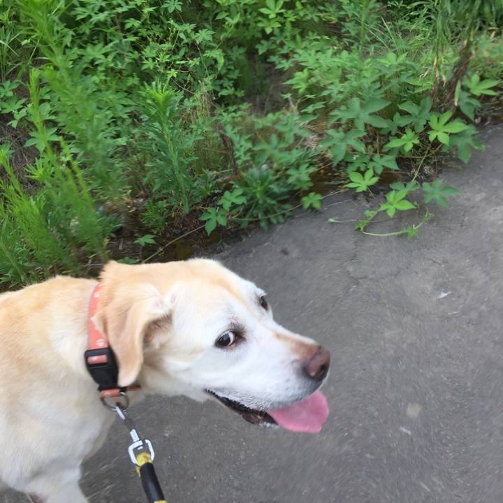 1a7defc6 461c 4e7e b7da 17ed76a4dc10