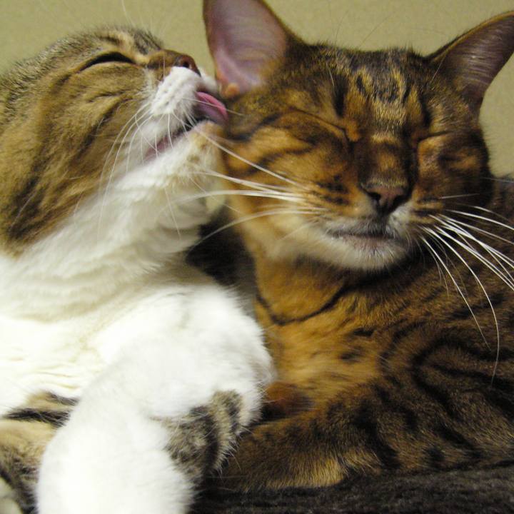 1a7e2496 6394 43c7 9fe7 ae4071107831