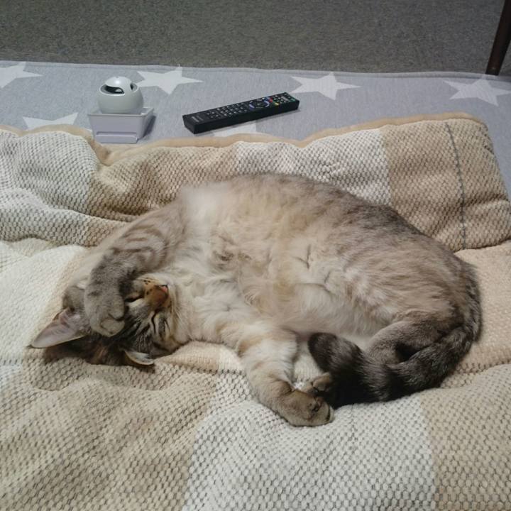 1a7f9bac 1d44 4d4f 8298 8f6722010705