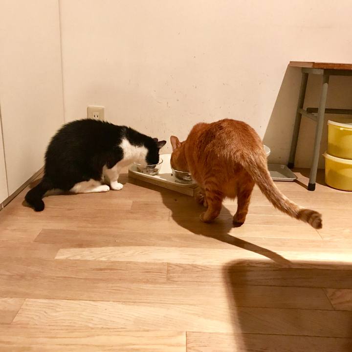 1a809db7 168b 456f a513 7a44092126dd