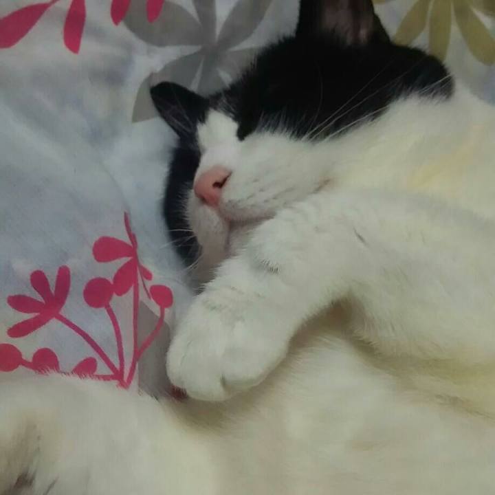 1a81ceee 3135 482d b335 5c8dd11c6862