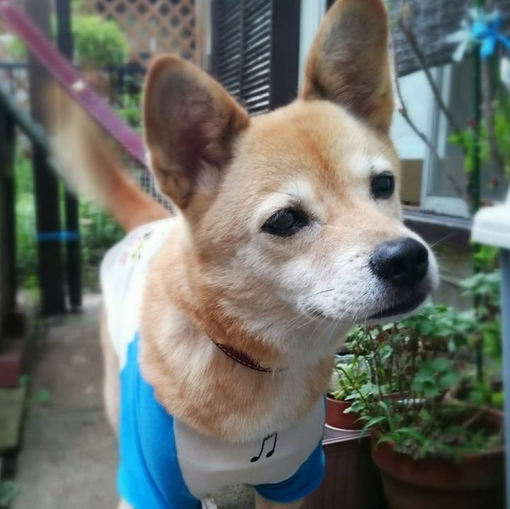 1a81eacb f81d 4b97 9435 6d6dd1849882