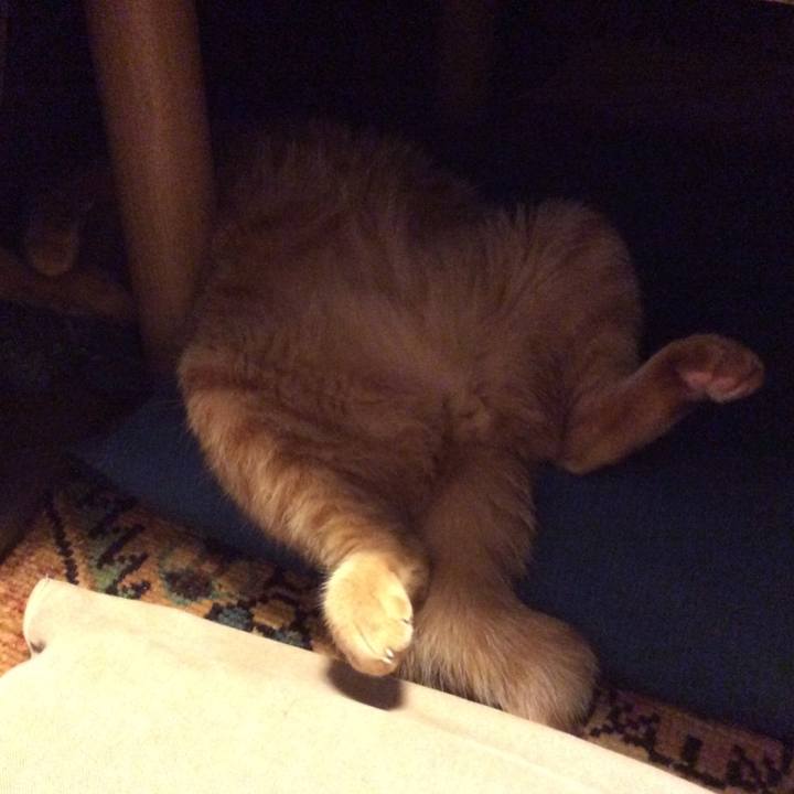 1a82ae94 0529 4899 bd12 2ca59be08065