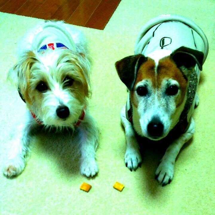 1a82f16e de68 449a b376 ee48c885d2bf