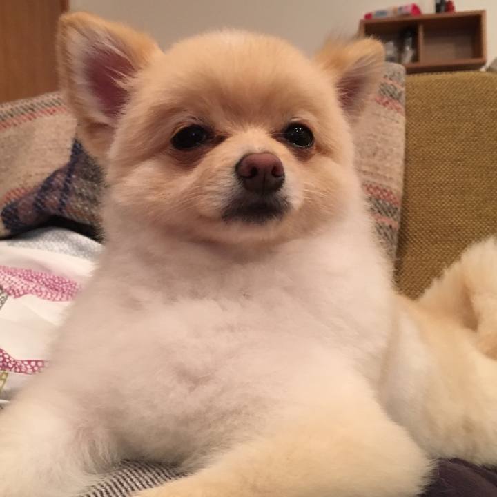 1a8309f4 6c70 4eb7 8c1d 983485699fd1