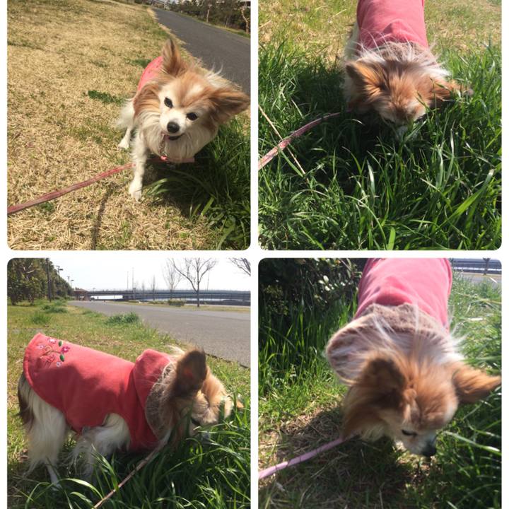 1a845587 2a0e 40d8 a0ab 864b5a268c2c