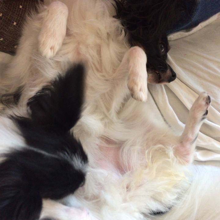 1a847a47 45e2 46a9 8ecb 38309591b4c2