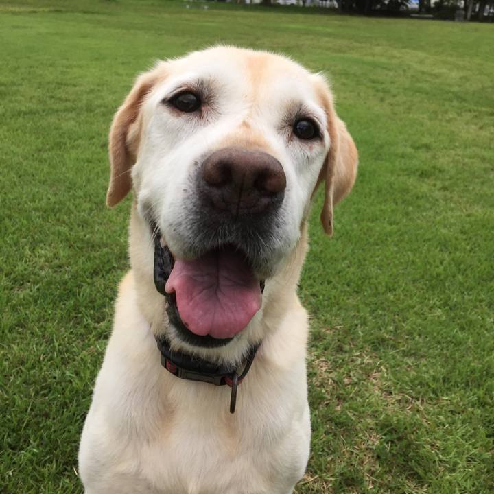 1a84bba6 dd05 4402 a029 b9dbdc1a542b