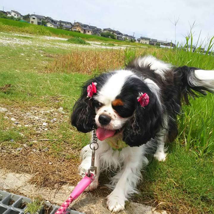 1a84e1dc 013b 4b30 b9a9 9ac783690f03