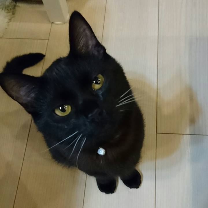 1a850caa 92ea 4b35 a30e 88b54d59ad18