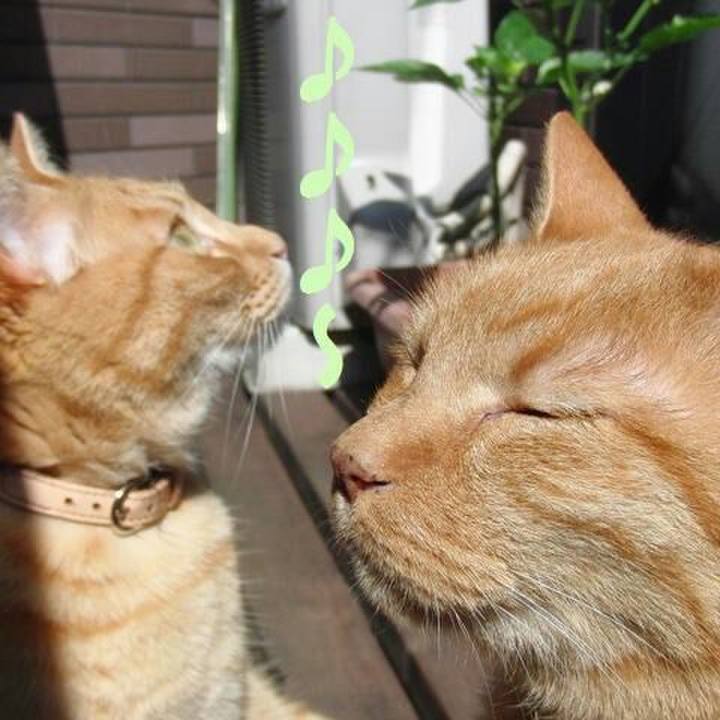 1a853b6d e6a3 49e9 bb2d df15ef3d70d9