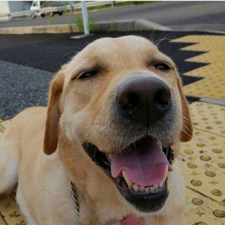 1a855f05 1d0b 43d3 9ce5 d4388343f9b7